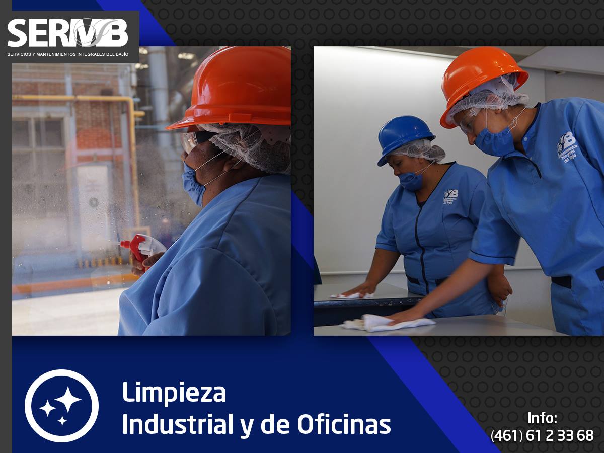 Office cleaning in Celaya